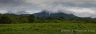 Toad Montain Panorama