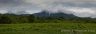 Toad Montain Panorama