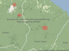 A few of all the localities for the A. spumarius complex.